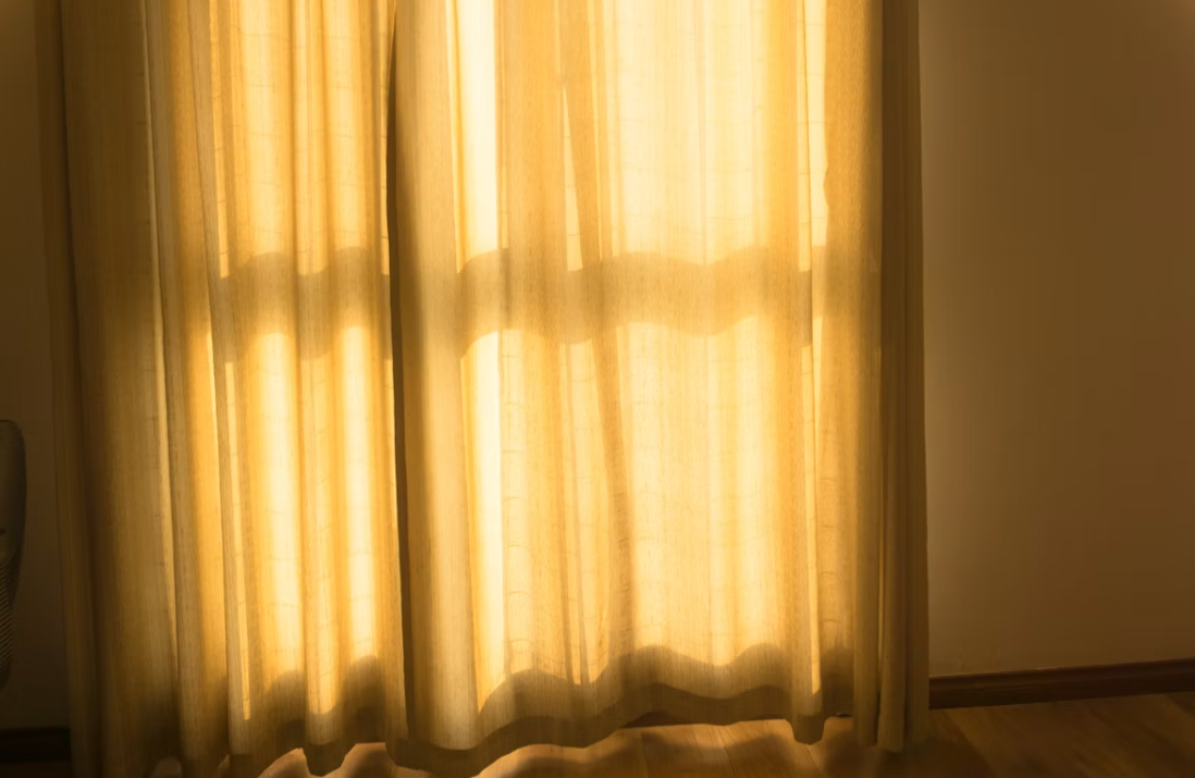 Premium window blinds in a modern interior